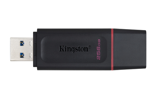 SAUV256GBKINGDTX-API_IMAGE_84965305