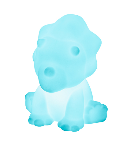 HPBTBTLSDINOBIG-API_IMAGE_27427256