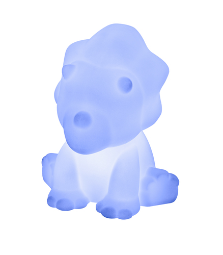HPBTBTLSDINOBIG-API_IMAGE_27427260
