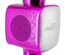 PARTYBTMIC2PK_ZOOM01-1140x974.jpg