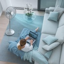 ventilateur-sur-pied (2).jpg