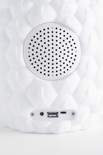 HPBTLSPINEAPPLEBIG-API_IMAGE_28358290