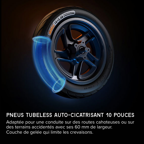 Ninebot F2 PRO E II Trottinette electrique reunion pneu tubeless.png