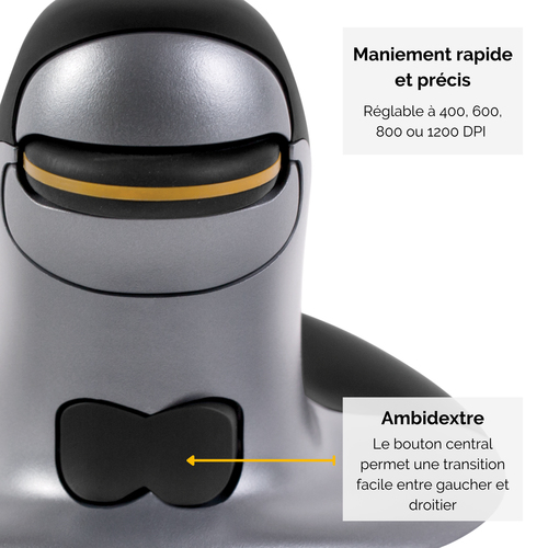 339784-API_IMAGE_85062310