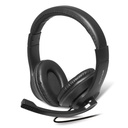CASQMICS799ADV-API_IMAGE_64614448