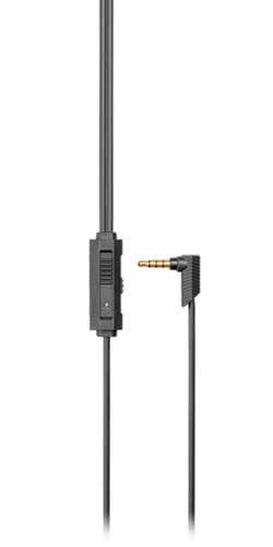 CASQRIG300RIG-API_IMAGE_27492339