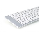 IO-ML300900MOB-API_IMAGE_1836699
