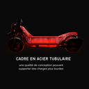 Trottinette électrique SEGWAY ZT3 PRO Réunion cadre en acier.png