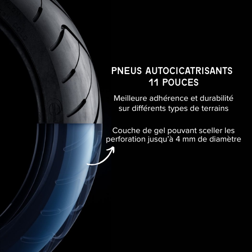 Trottinette électrique NINEBOT Max G3E réunion Pneu 11 pouces.png