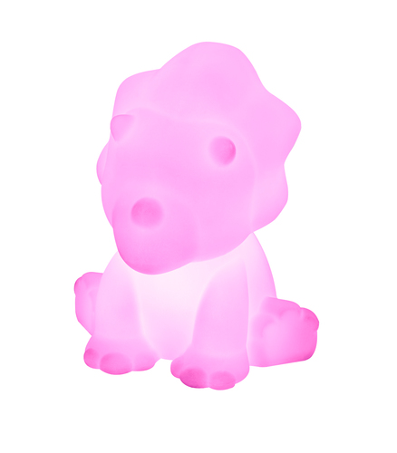 HPBTBTLSDINOBIG-API_IMAGE_27427259