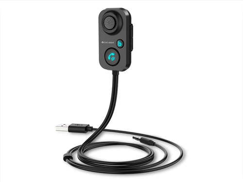 ACCPMT061BTCAL-API_IMAGE_78889667