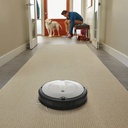 API_IMAGE_ASPIROOMBA698IROBOT_79744606_8404418725.jpg