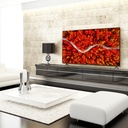 TV75UP7500-API_IMAGE_63696688