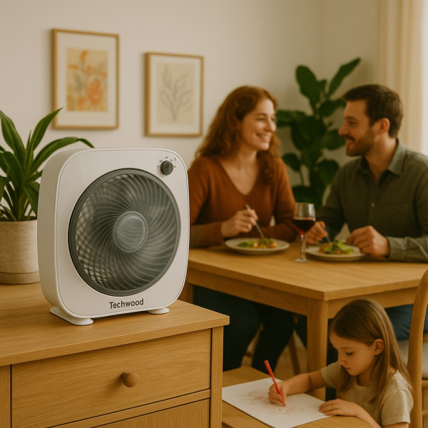 ventilateur-box-fan (3).jpg