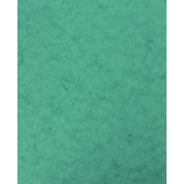 TAMBOUR CYAN OKI C3200