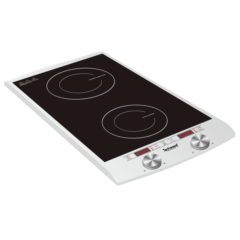 TECHWOOD Double Plaque Induction