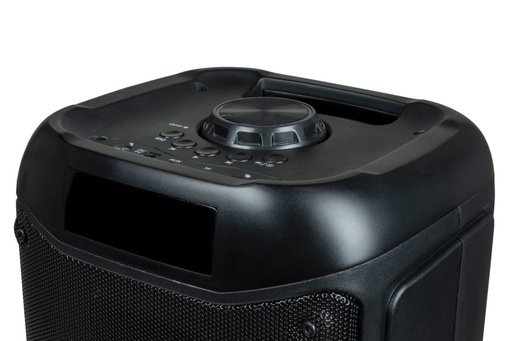 [HPPARTYBTHPLBB] PARTY Light & Sound PARTYBTHPL haut-parleur portable et de fête Noir