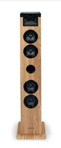 [HCDS122CDTHOM] Thomson DS122CD ensemble audio pour la maison Système audio domestique à tour 10 W Noir, Bois