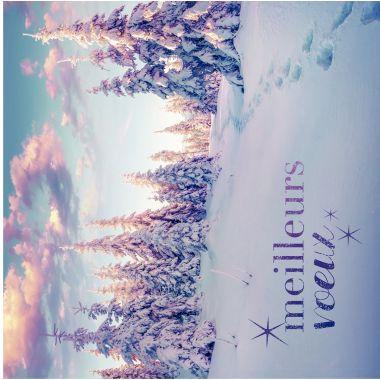 [133529] Paquet de 25 cartes de voeux thème hiver