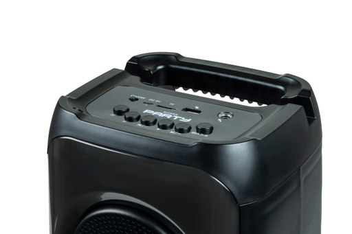 [HPPARTYBTHPMBB] PARTY Light & Sound PARTYBTHPM haut-parleur portable et de fête Noir