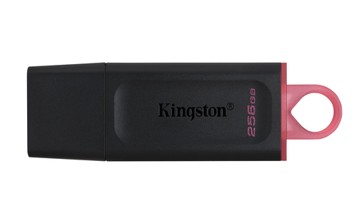 [SAUV256GBKINGDTX] Kingston Technology DataTraveler Exodia - Clé USB 3.2